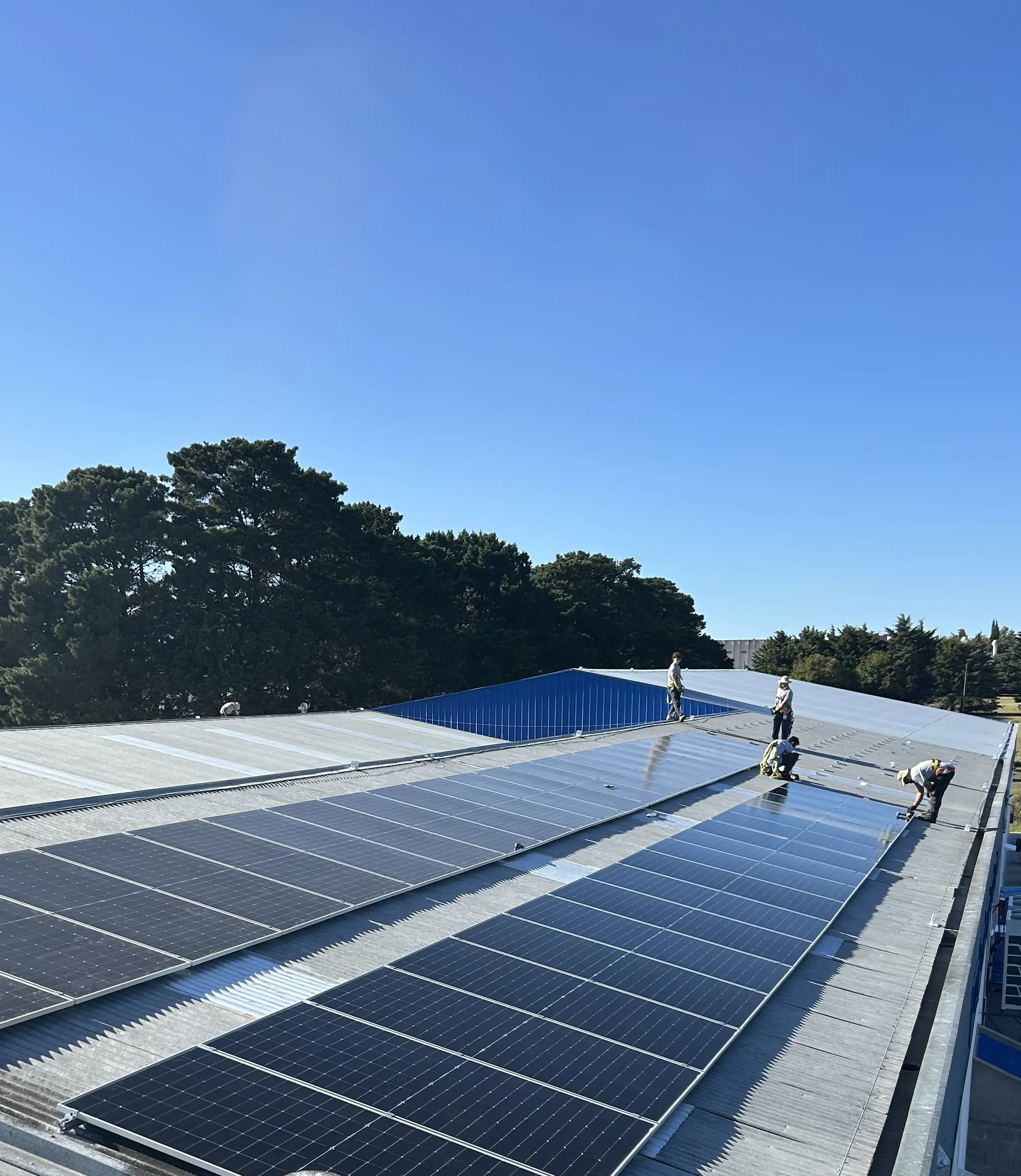 DG Servicios Empresa